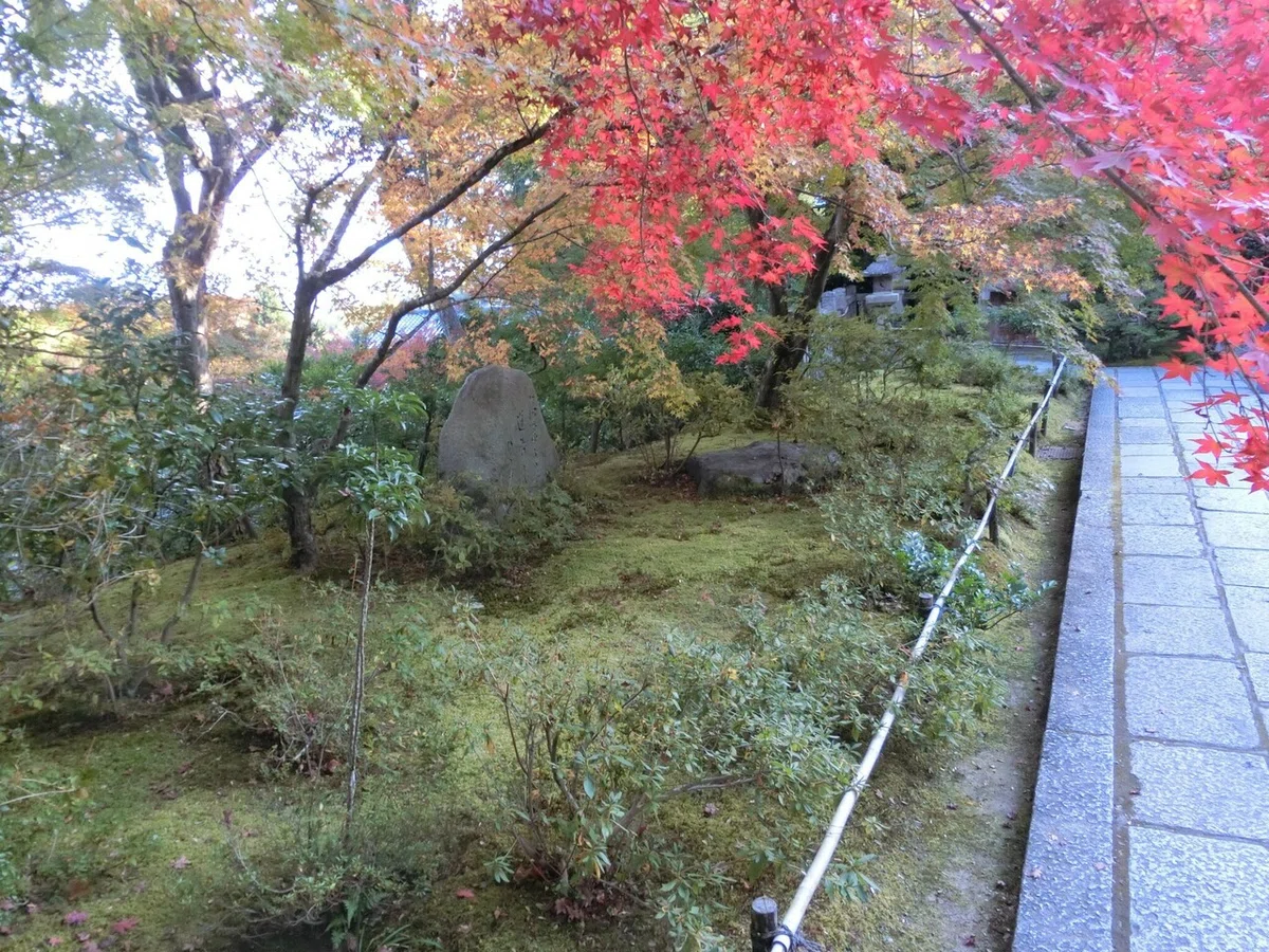 画像53