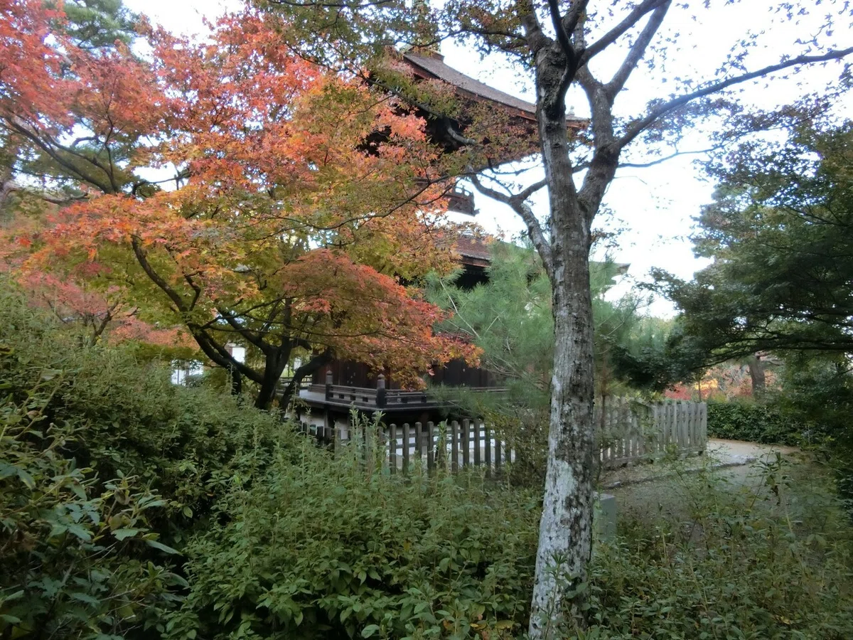 画像55