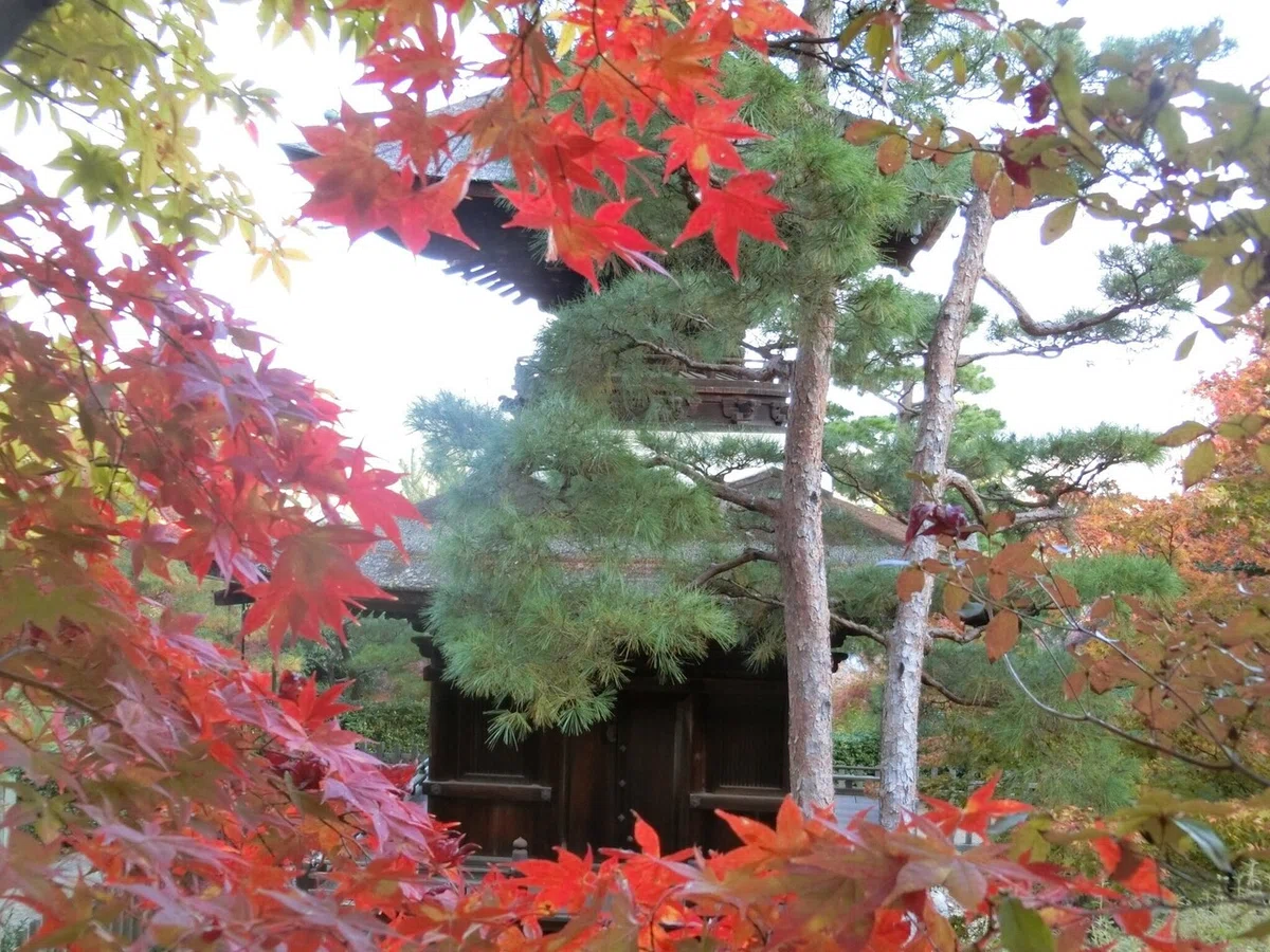 画像56