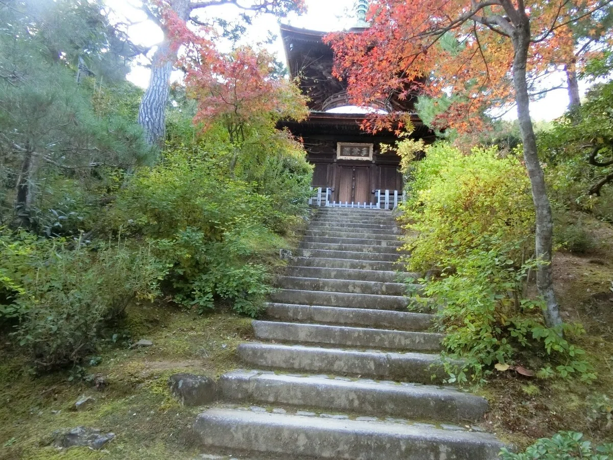 画像57