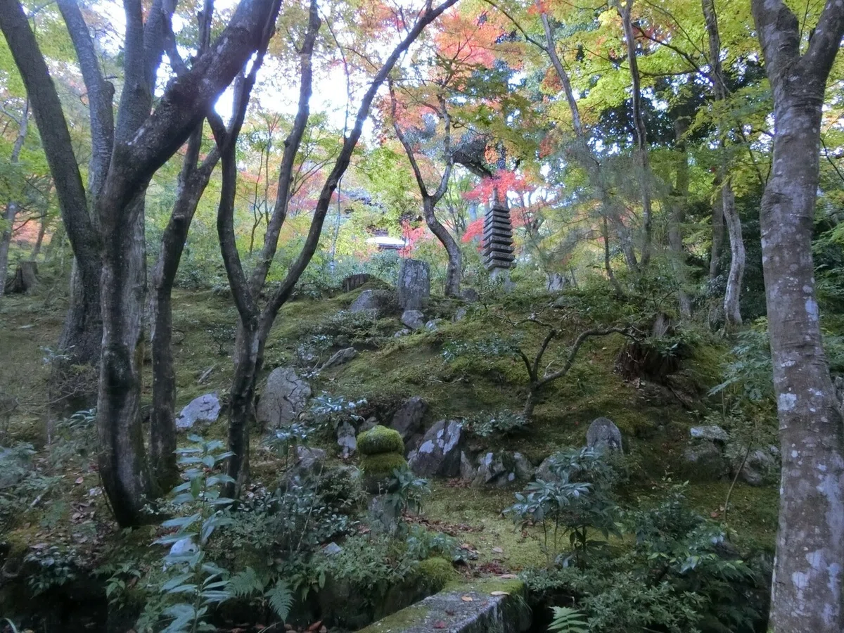 画像59