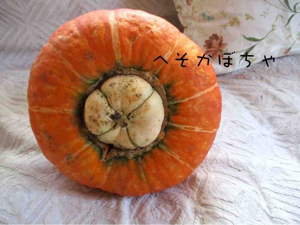 Forget me not*〜へそかぼちゃ〜*かぼちゃんとナス姉の物語｜ホシノハナ