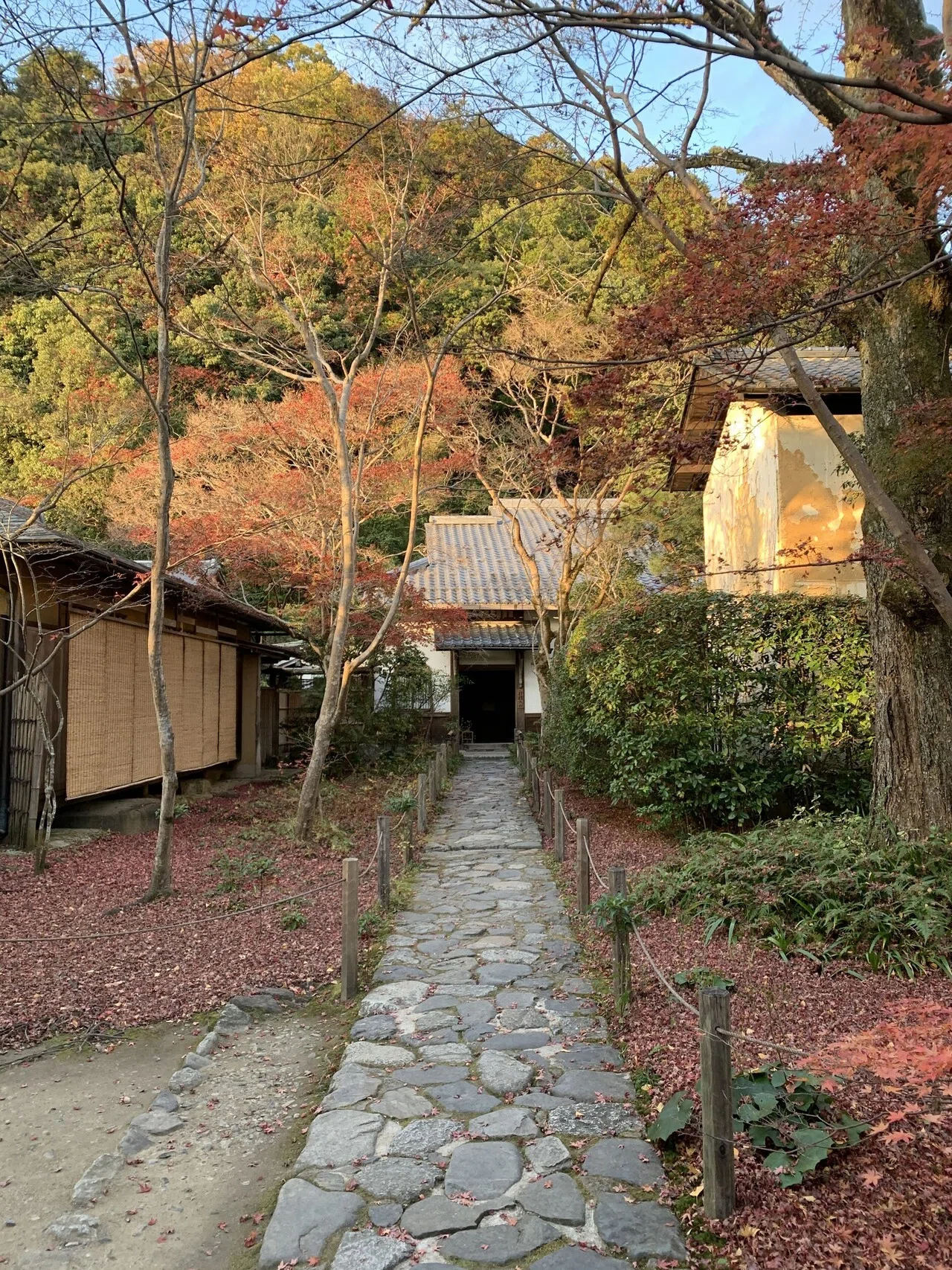 紅一点