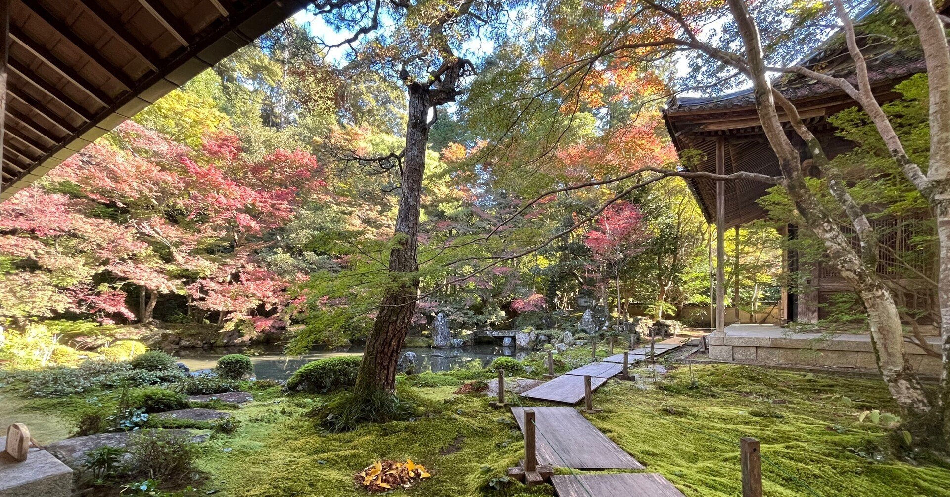 ホビーステーションシングル通販店 / 紅葉の賀は賑わいて(ホイル