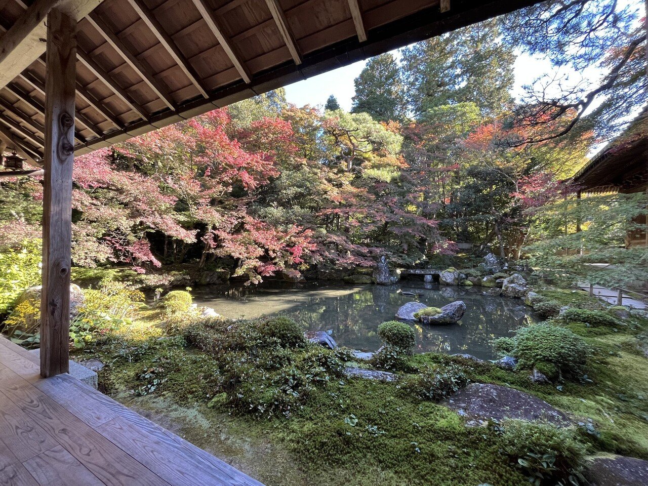 紅葉の賀は賑わいて PR 4枚 数年に一度の絶景紅葉！ | Daisetsuzan Asahidake Ropeway