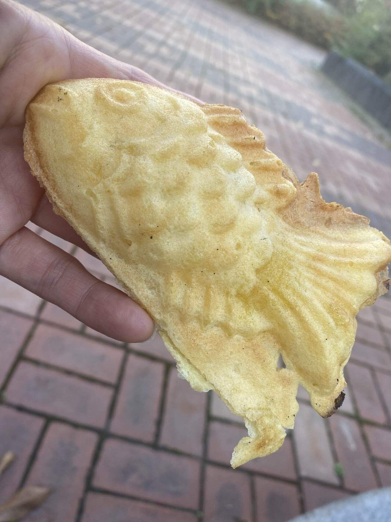 韓国プンオパン 鯛焼き Nora Korea Note
