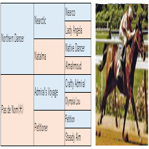 欧州型ノーザンダンサー系の特徴と種牡馬 高知けいばの鬼 佐賀競馬の神 Ai予想 Note
