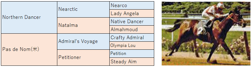 欧州型ノーザンダンサー系の特徴と種牡馬 高知けいばの鬼 佐賀競馬の神 Ai予想 Note 欧州型ノーザンダンサー系の特徴と種牡馬 高知けいばの鬼 佐賀競馬の神 Ai予想 Note