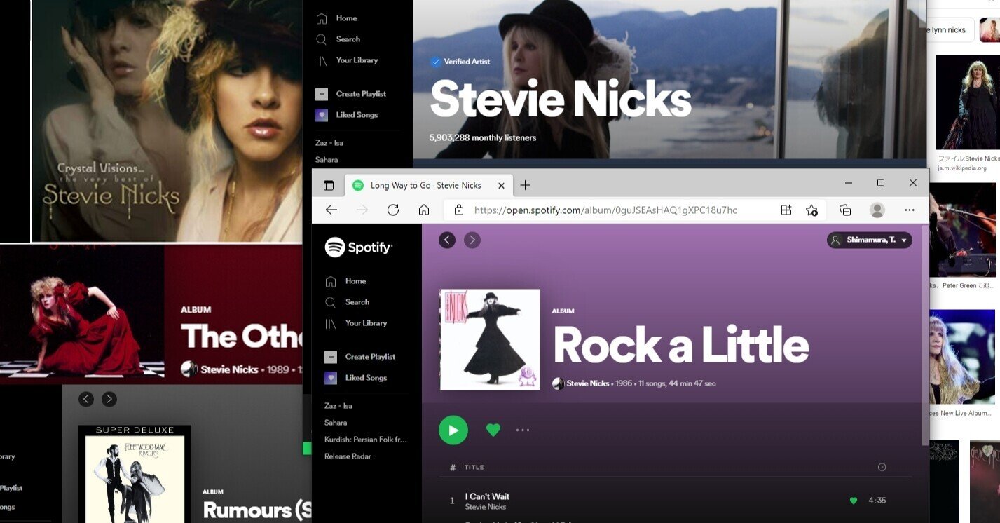 スティーヴィー ニックス Stevie Nicks Rock A Little Shimamura T Note スティーヴィー ニックス Stevie Nicks Rock A Little Shimamura T Note