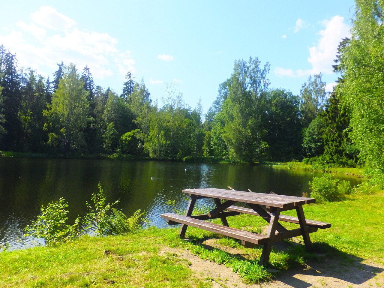 緑と青の絶景 フィンランドの森と湖 こんたぬ Note