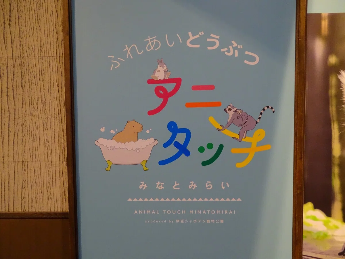 画像9