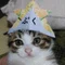 りん