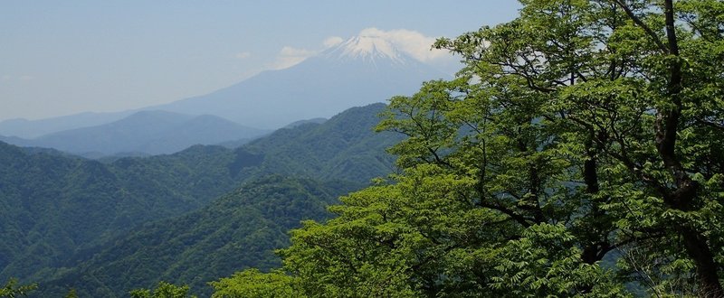 2018年5月22日　丹沢、檜洞丸(1600ｍ)