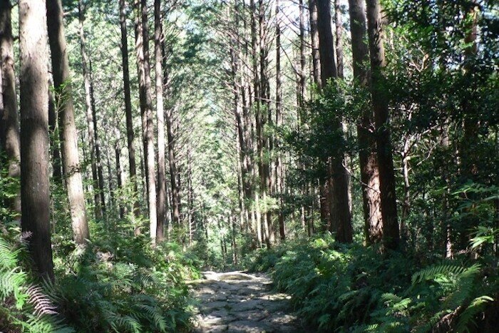 熊野古道①