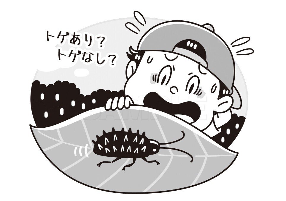 イラスト制作 No 11 白夜書房 クロスワードランド ヘンな名前の生き物アロークロス のイラスト制作です トゲがあるの それともないの 矛盾だらけの昆虫 トゲアリトゲナシトゲトゲ い いわたまさよし イラストレーター Note