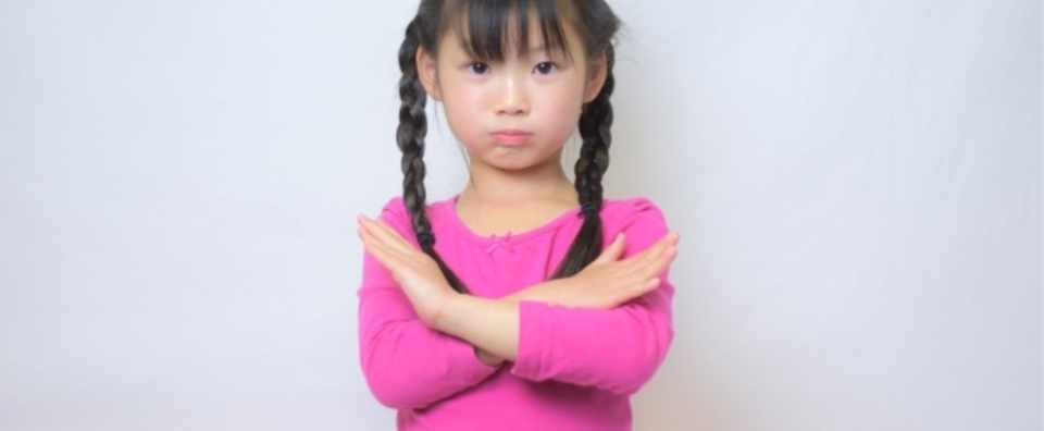 Ich War Das Nicht 私じゃないわ にみる合理的ドイツ人 すがゆうこ グローバル教育 Note