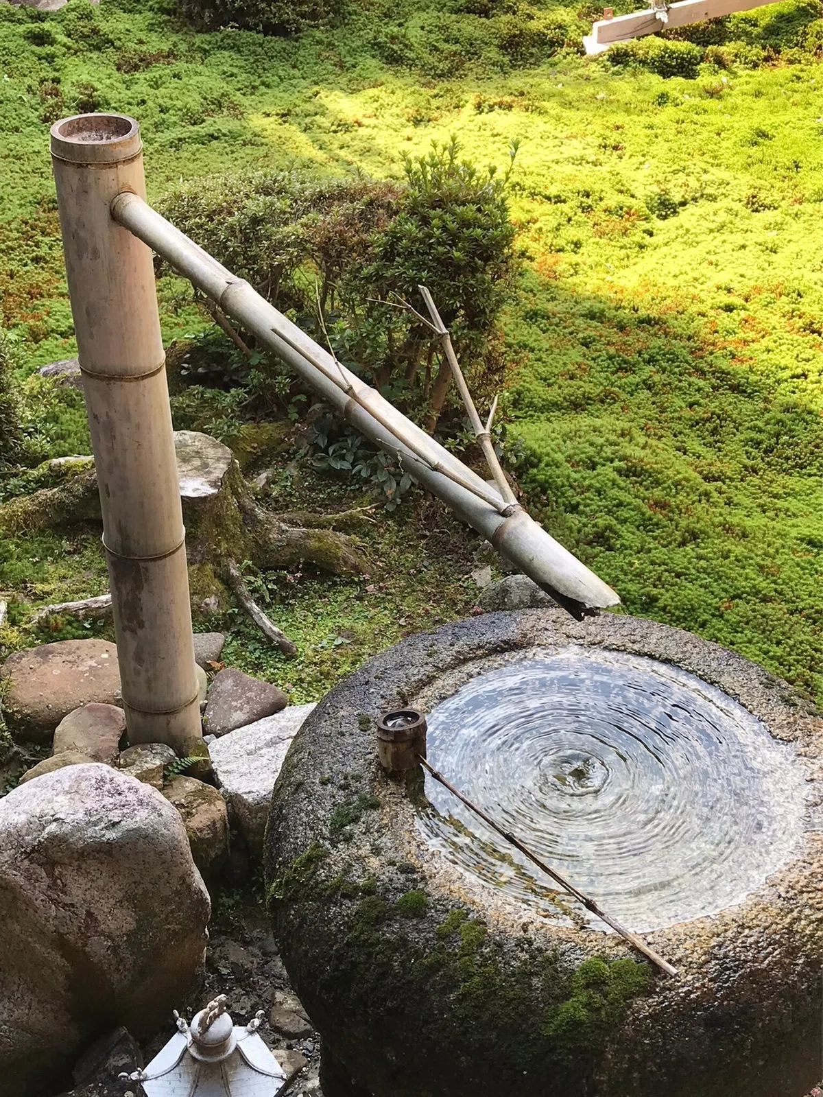 LINE_ALBUM_2021.11.16天野山金剛寺～延命寺_211117_78