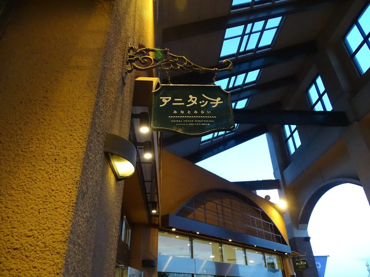 画像8