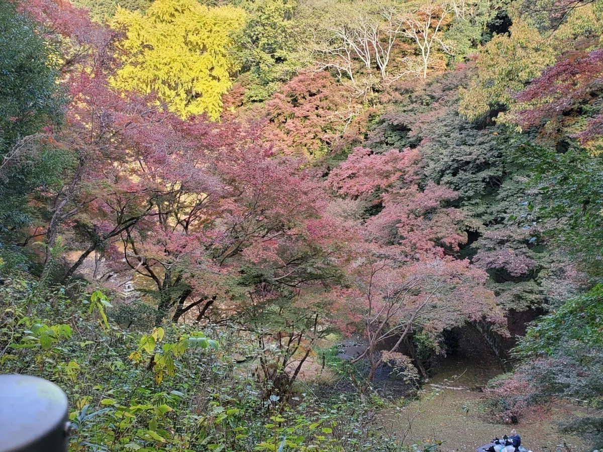 LINE_ALBUM_2021.11.16天野山金剛寺～延命寺_211117_22
