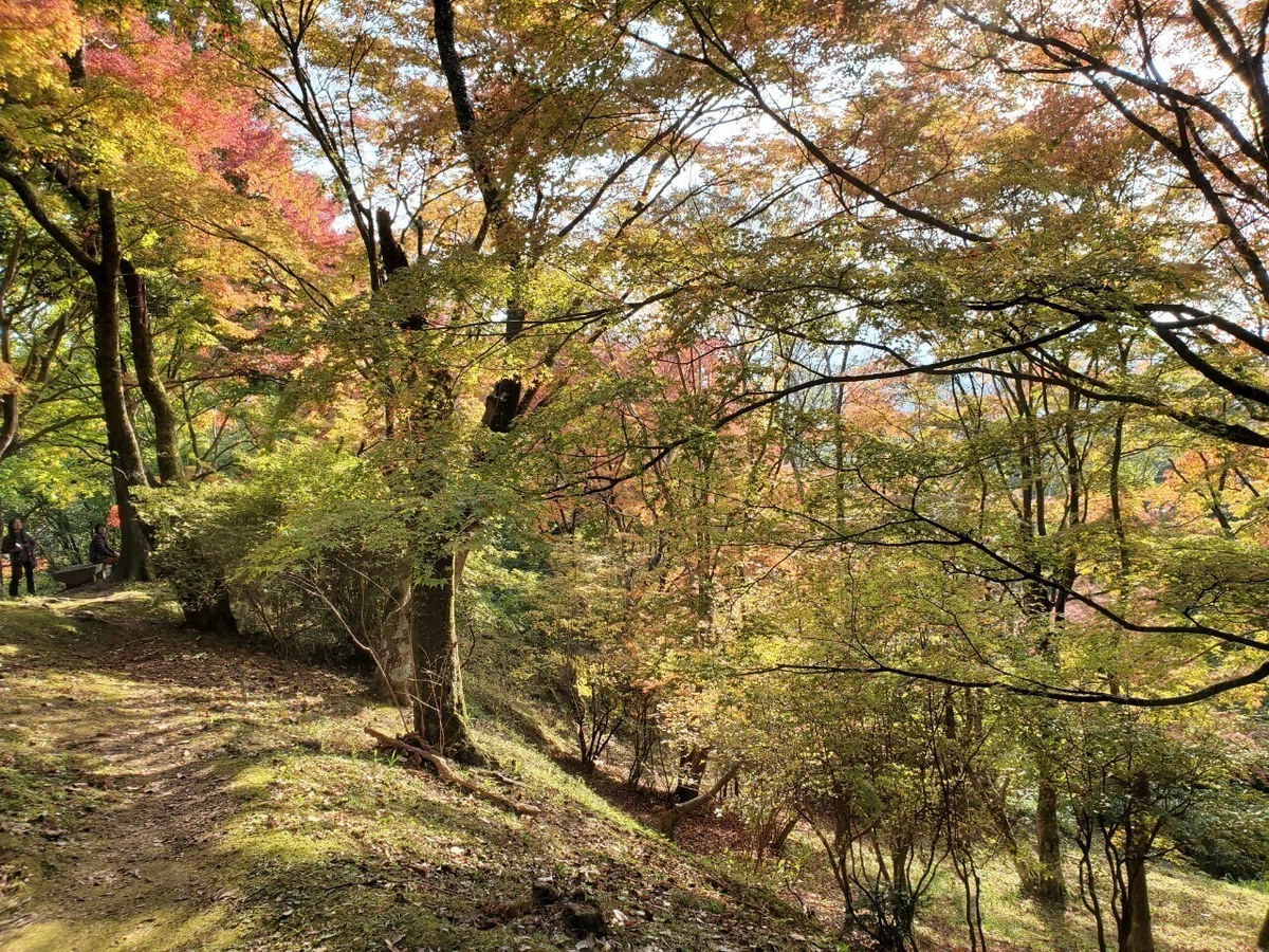 LINE_ALBUM_2021.11.16天野山金剛寺～延命寺_211117_19