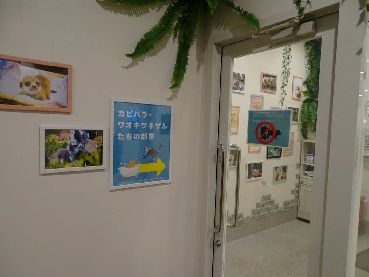 画像14