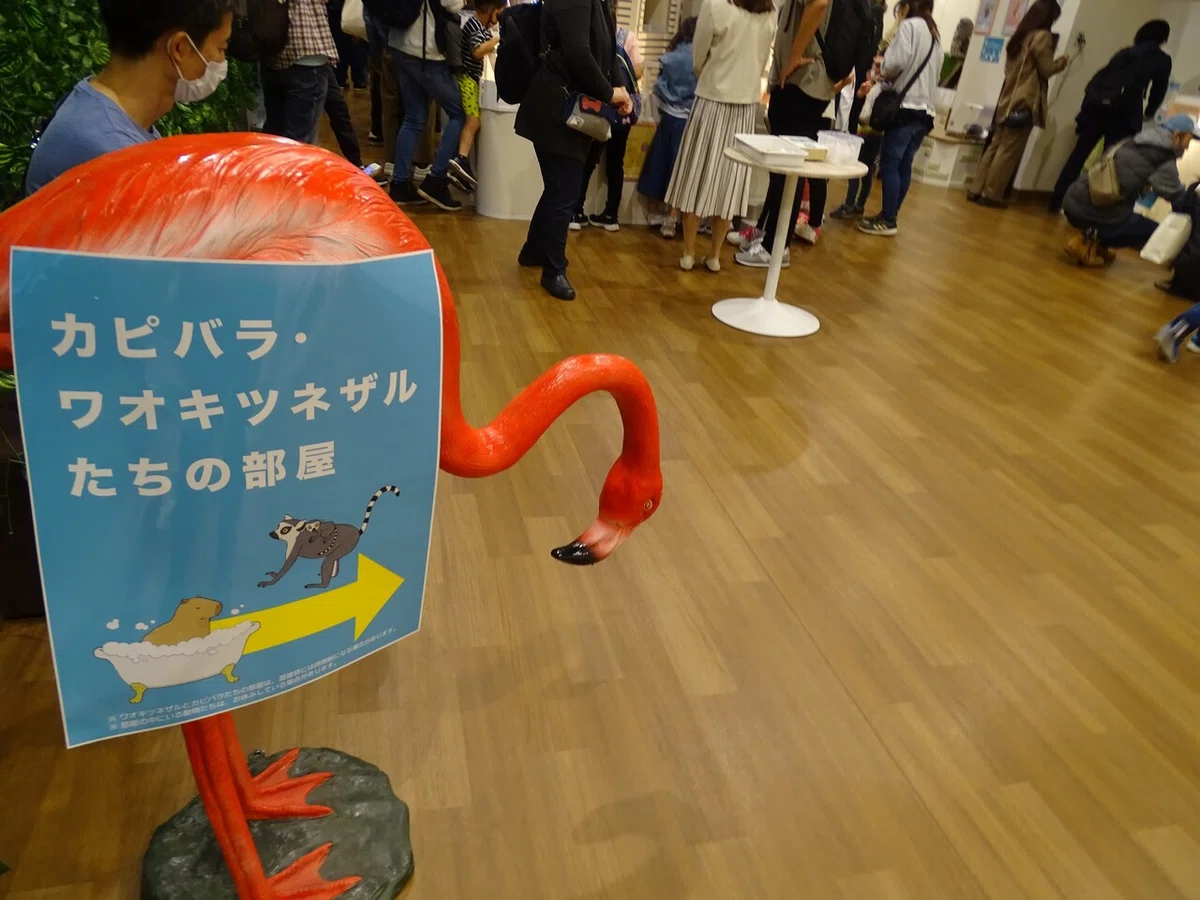 画像12