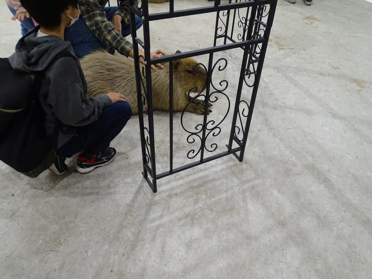 画像30