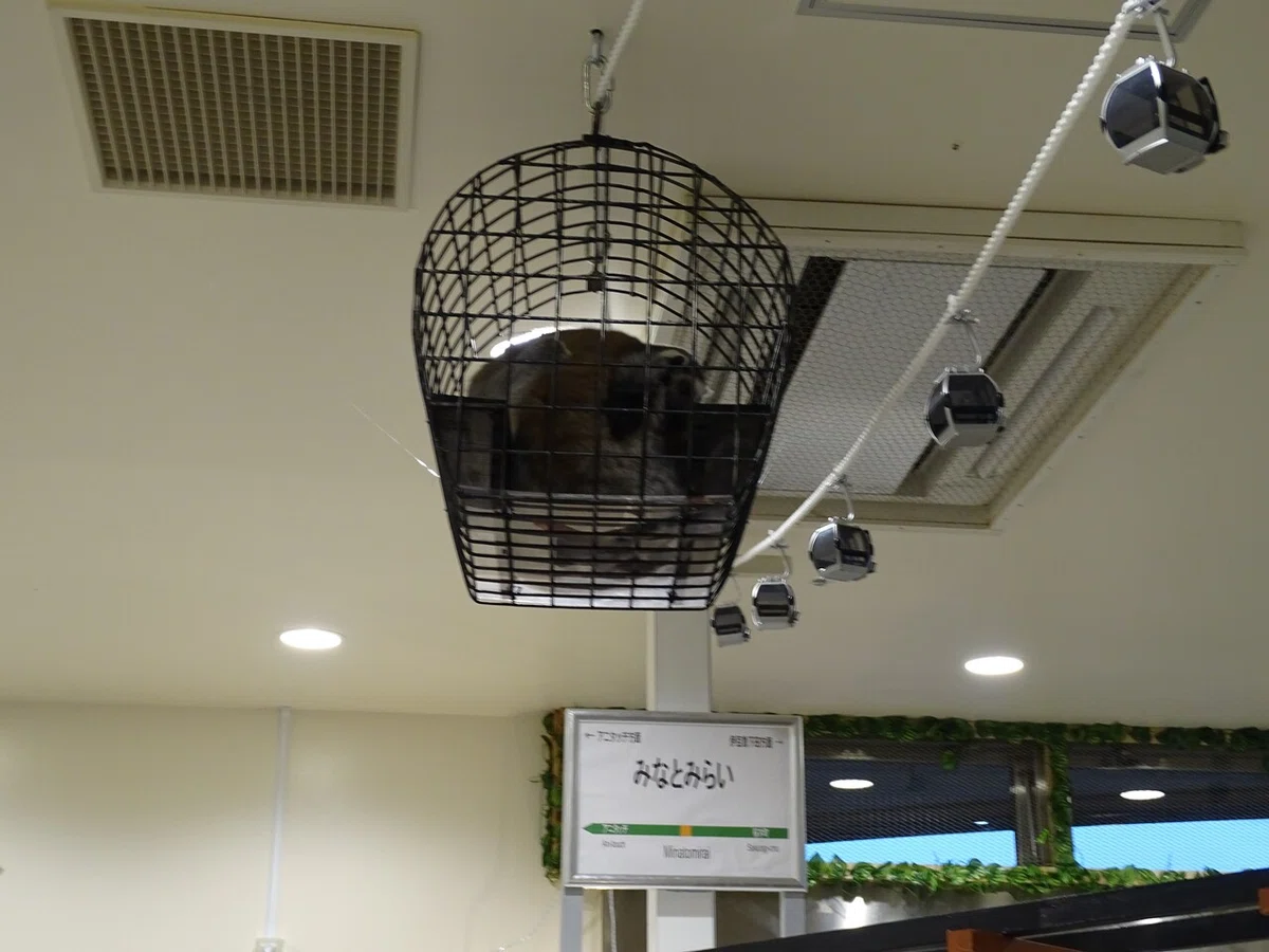 画像34