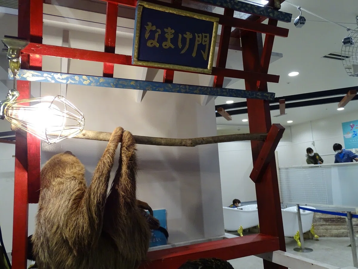 画像29