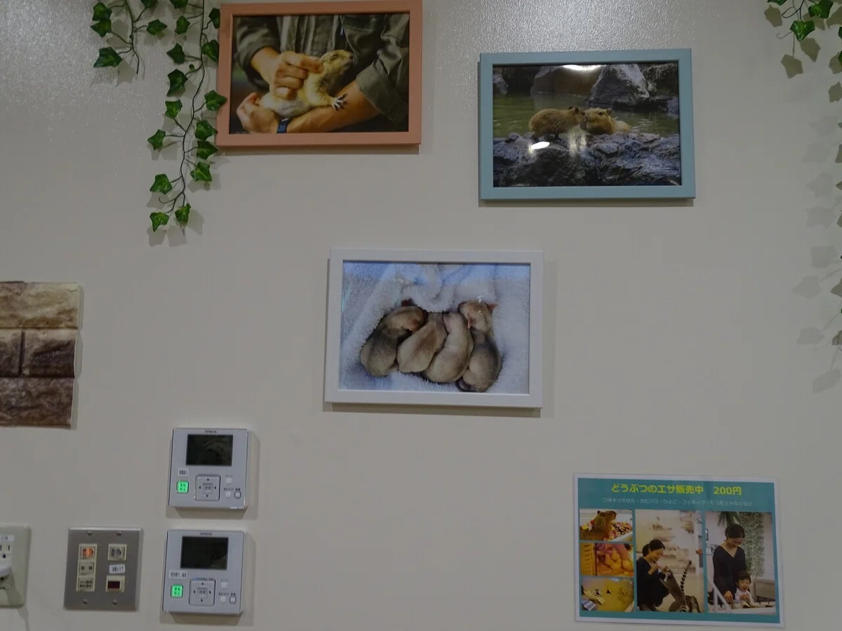 画像38