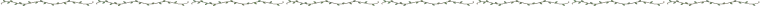 画像14