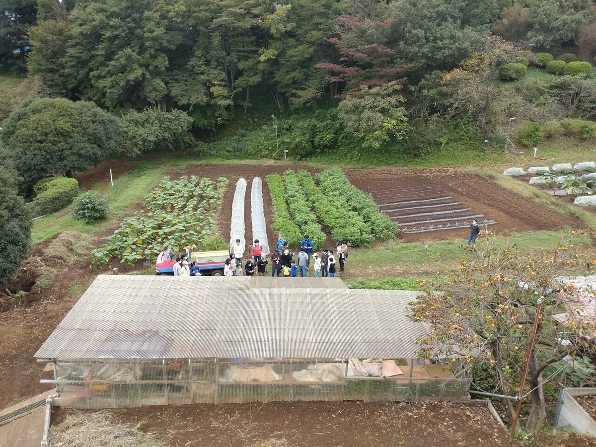 画像6