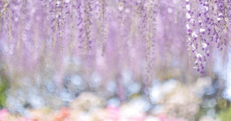 藤の花 の新着タグ記事一覧 Note つくる つながる とどける