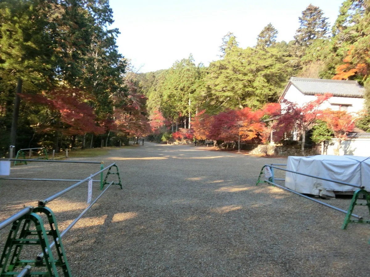 画像7