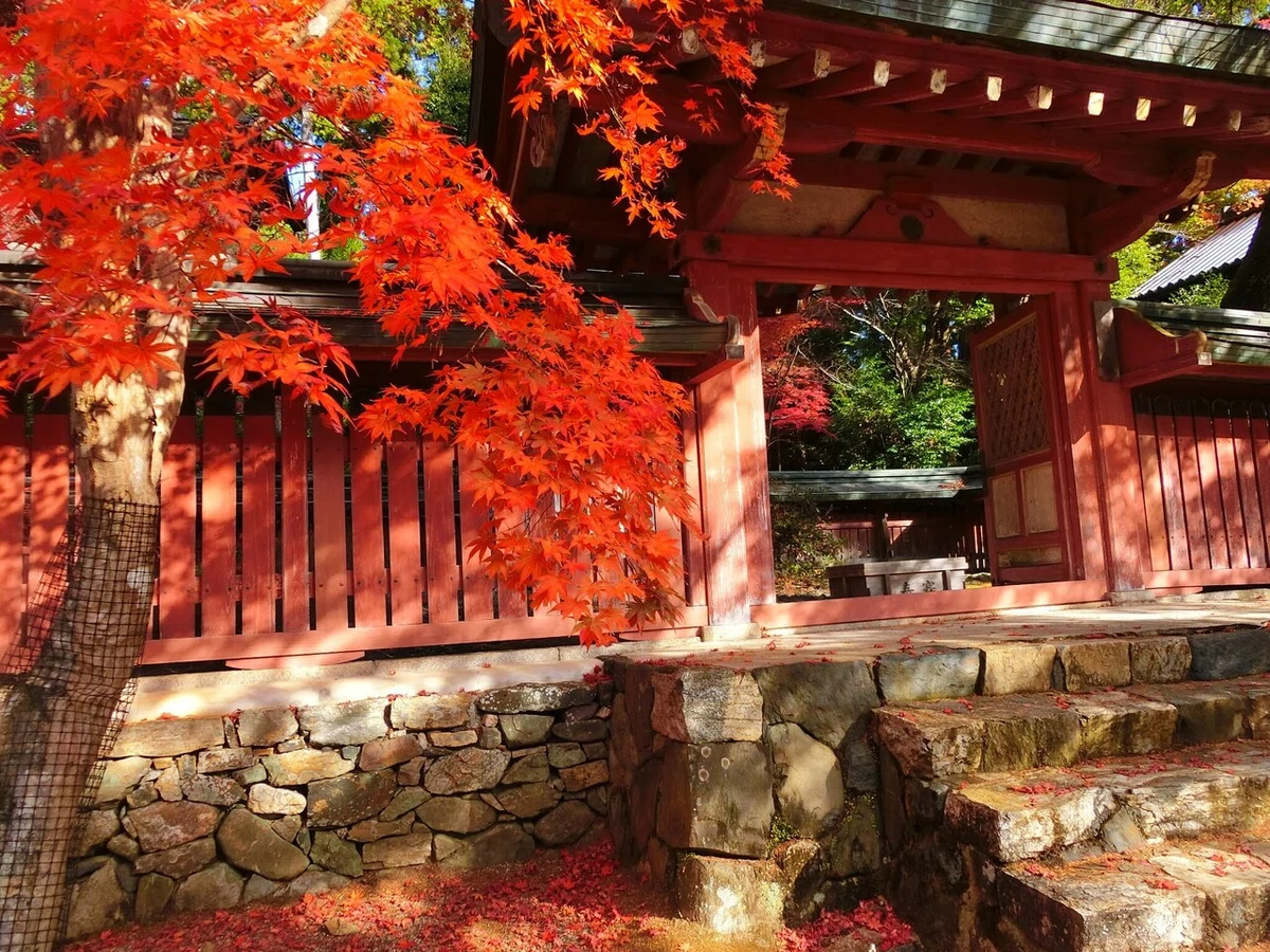 画像8