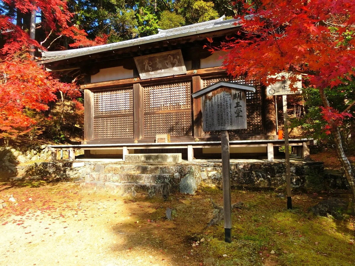 画像10