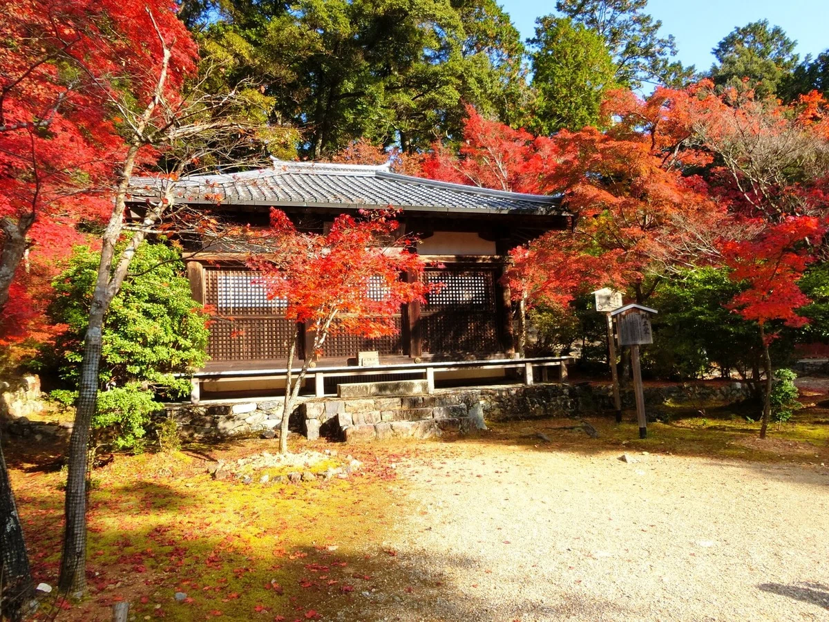 画像11