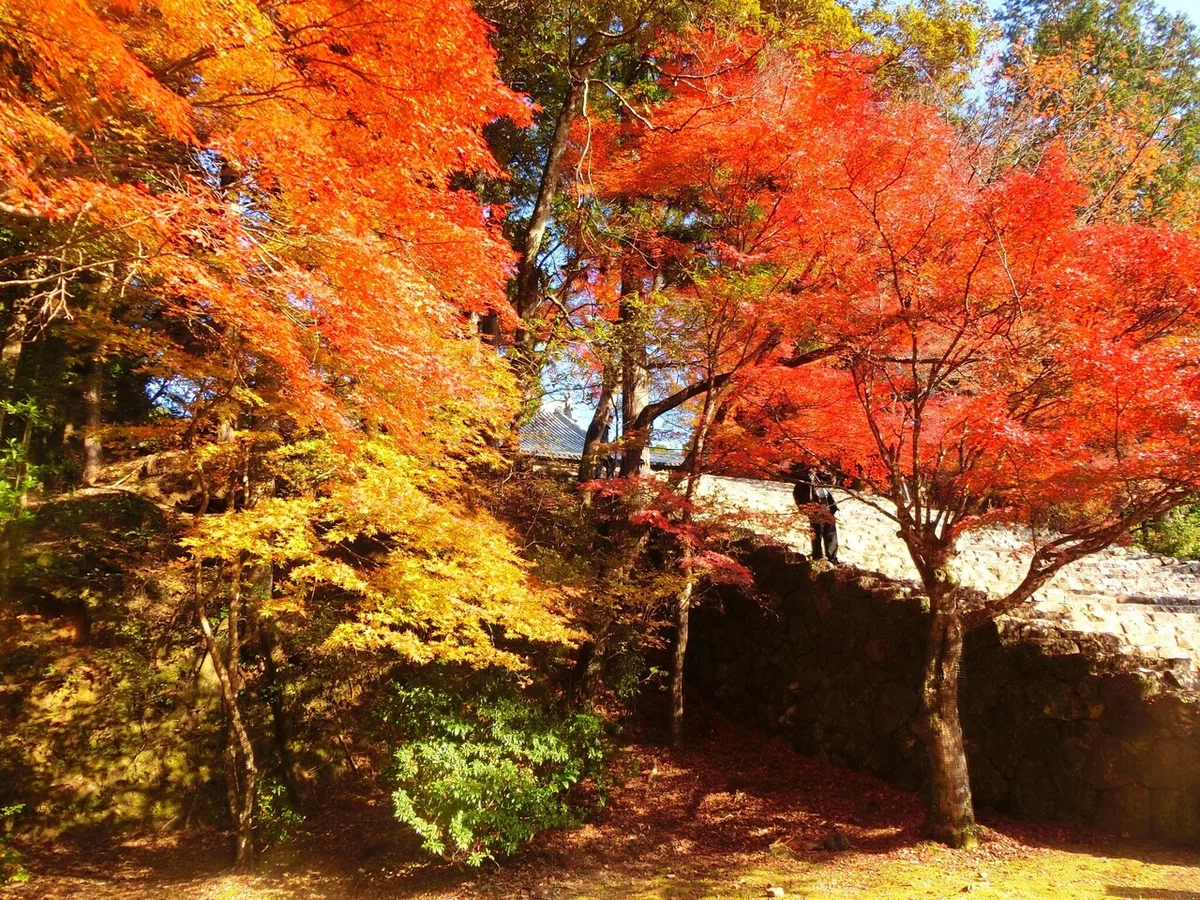 画像13