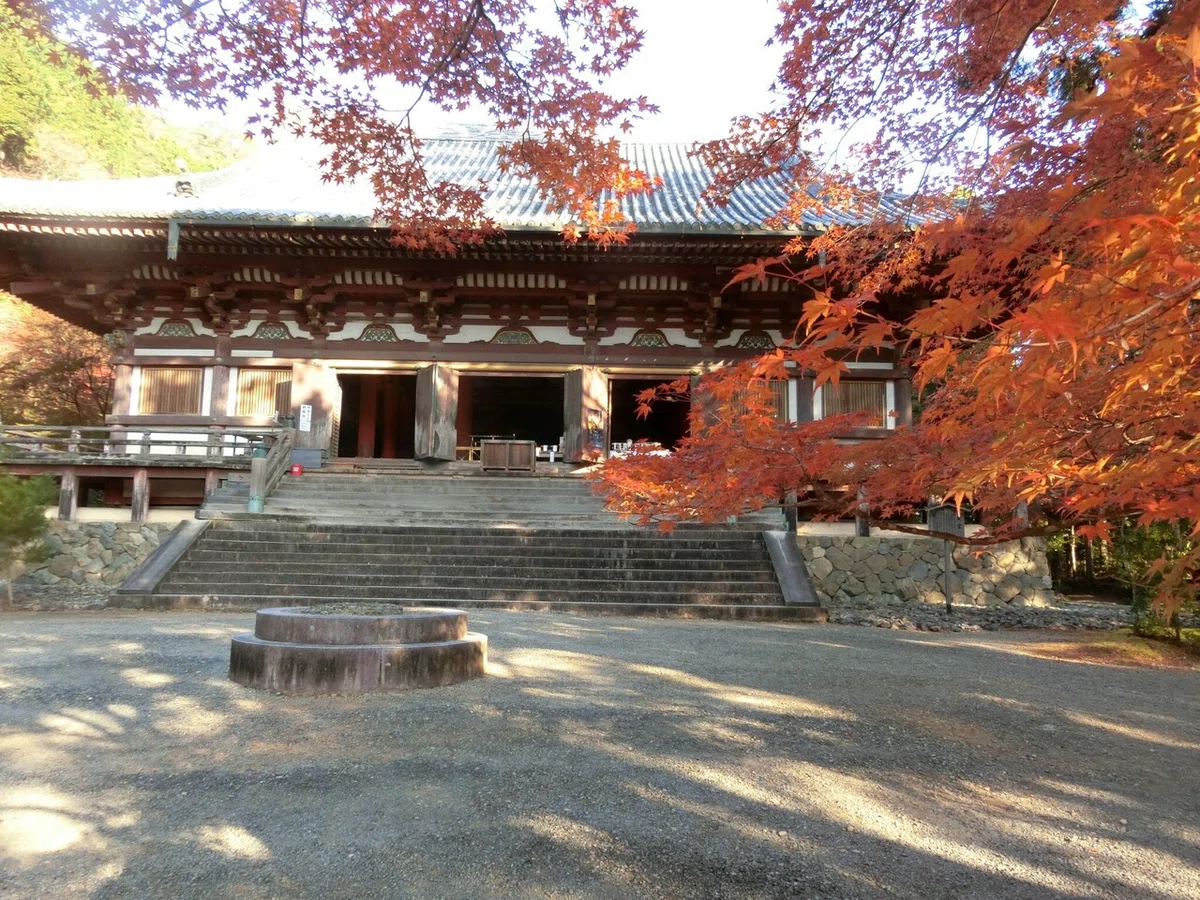 画像15