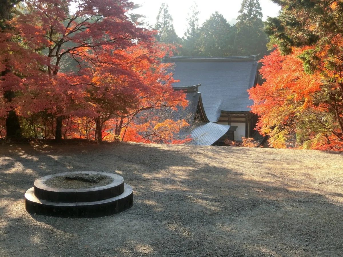 画像17