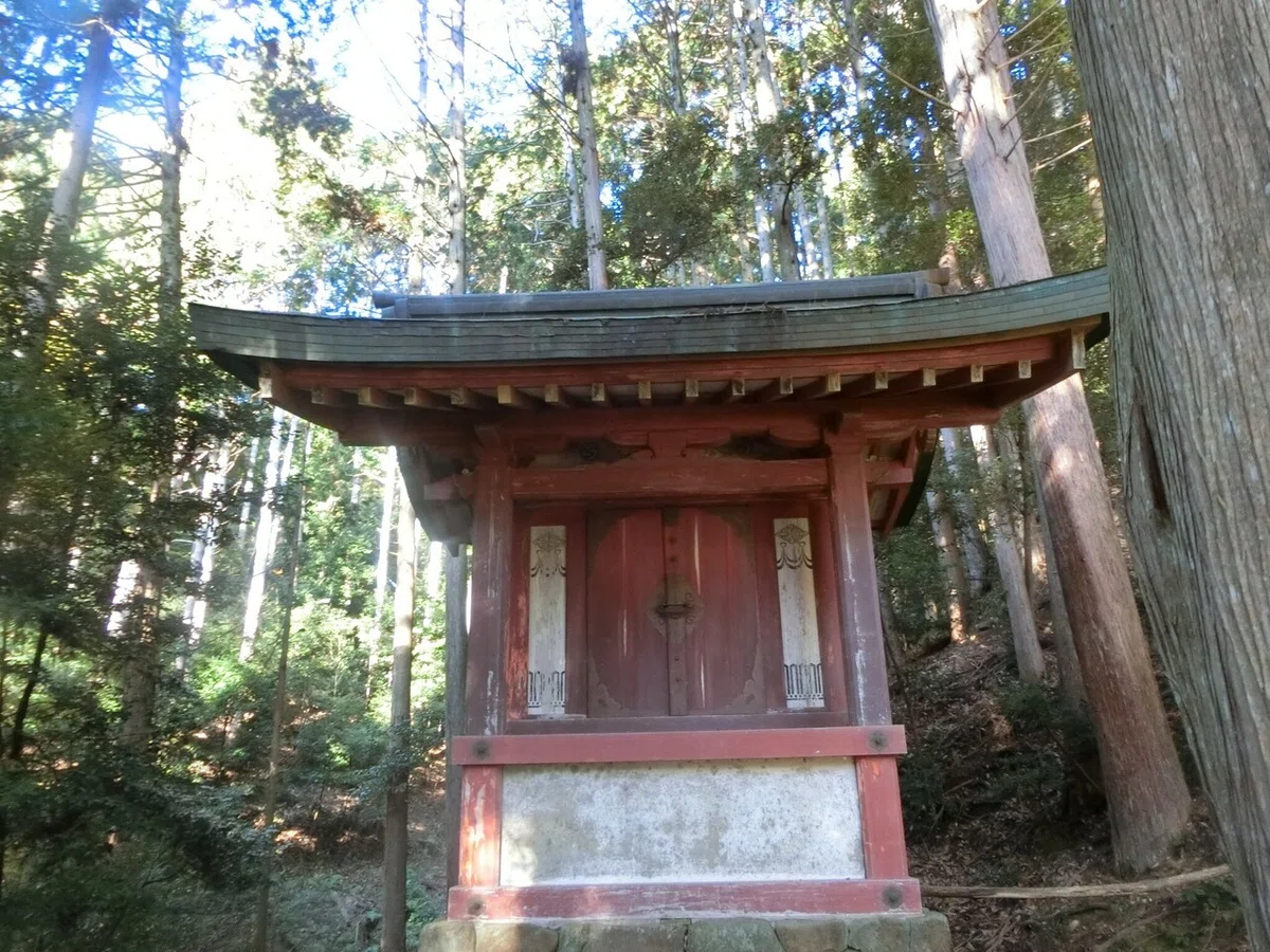画像19