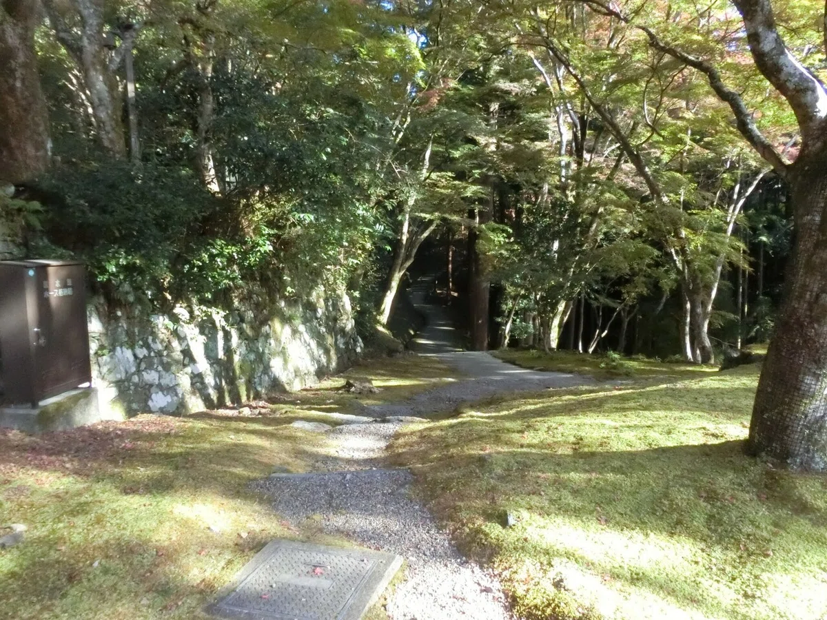 画像24