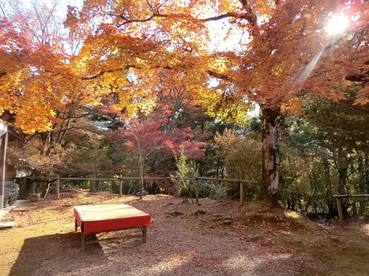 画像25