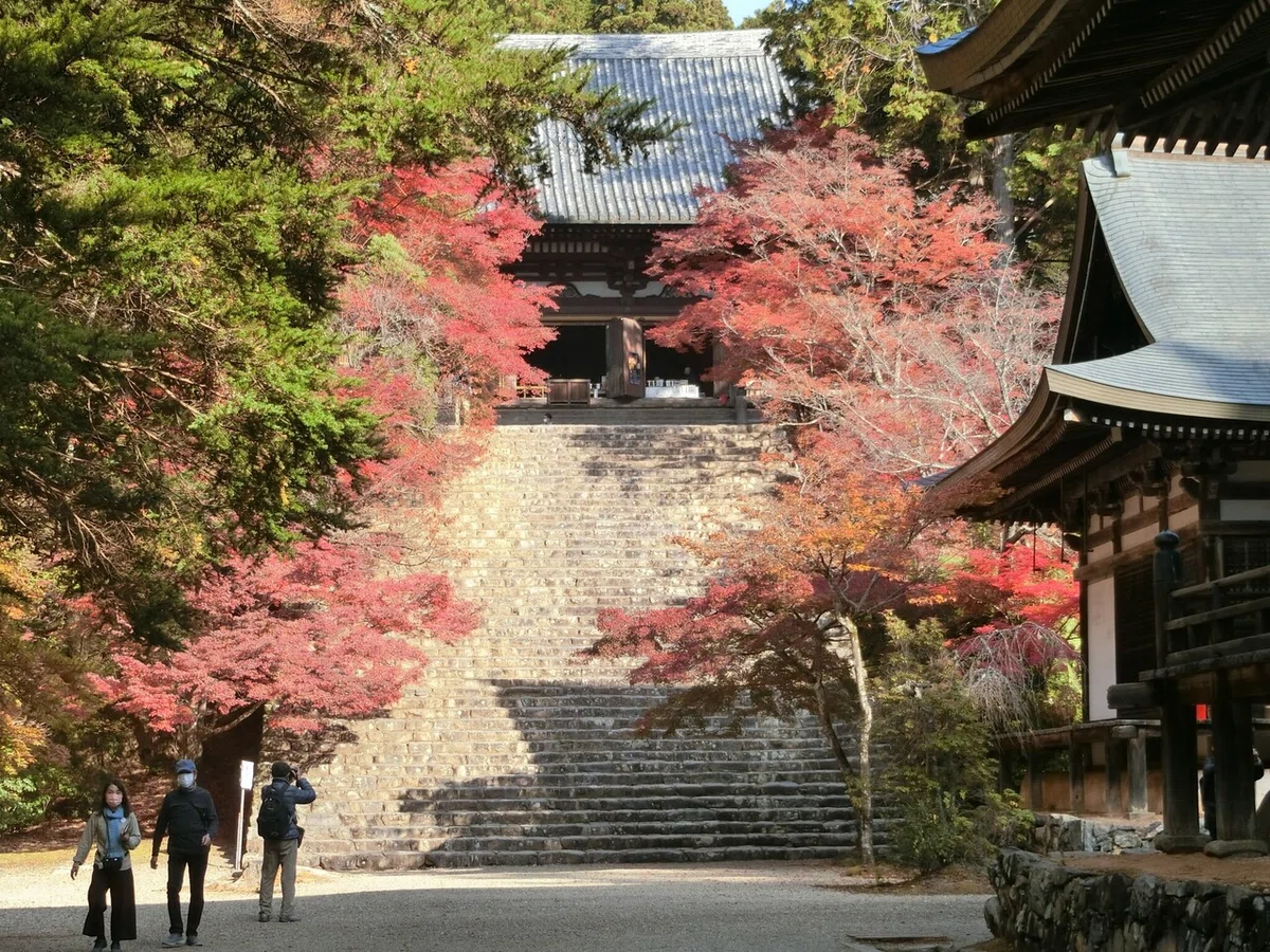画像28