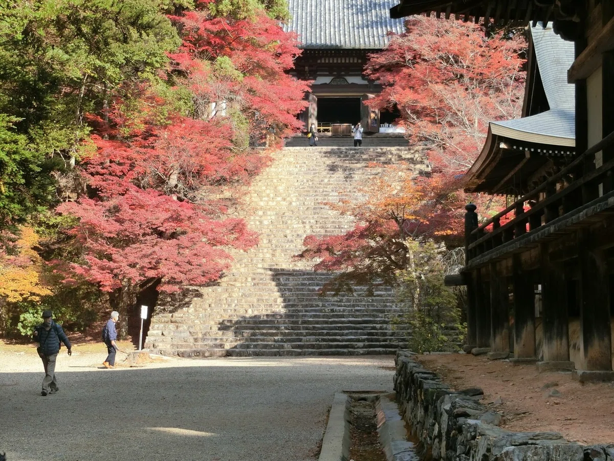 画像29