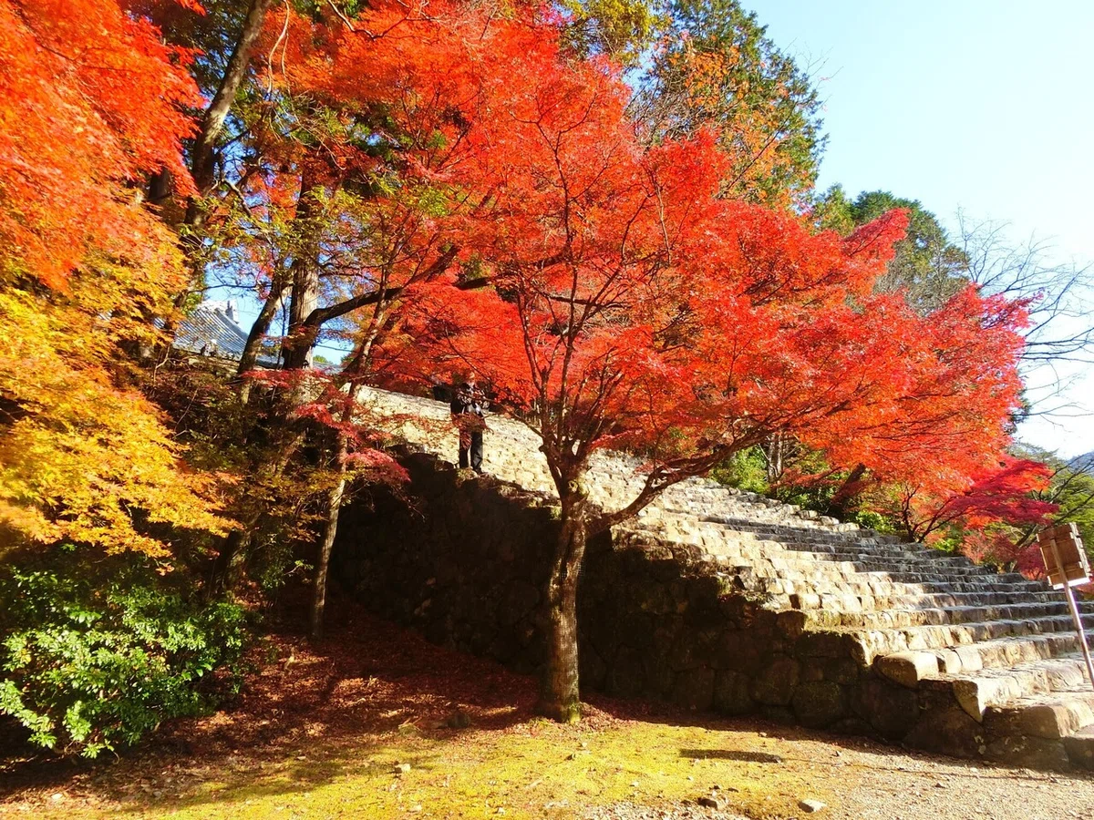 画像30