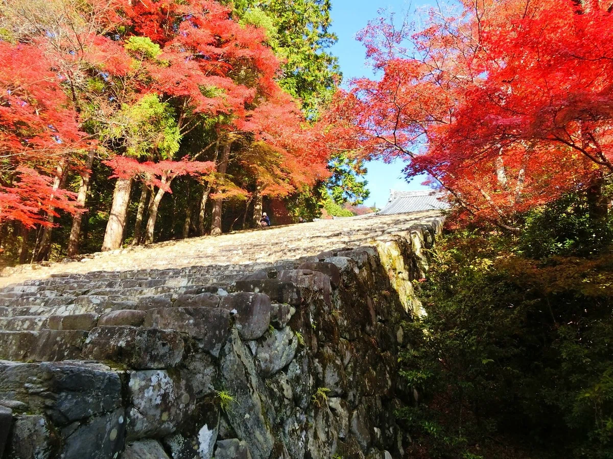 画像31