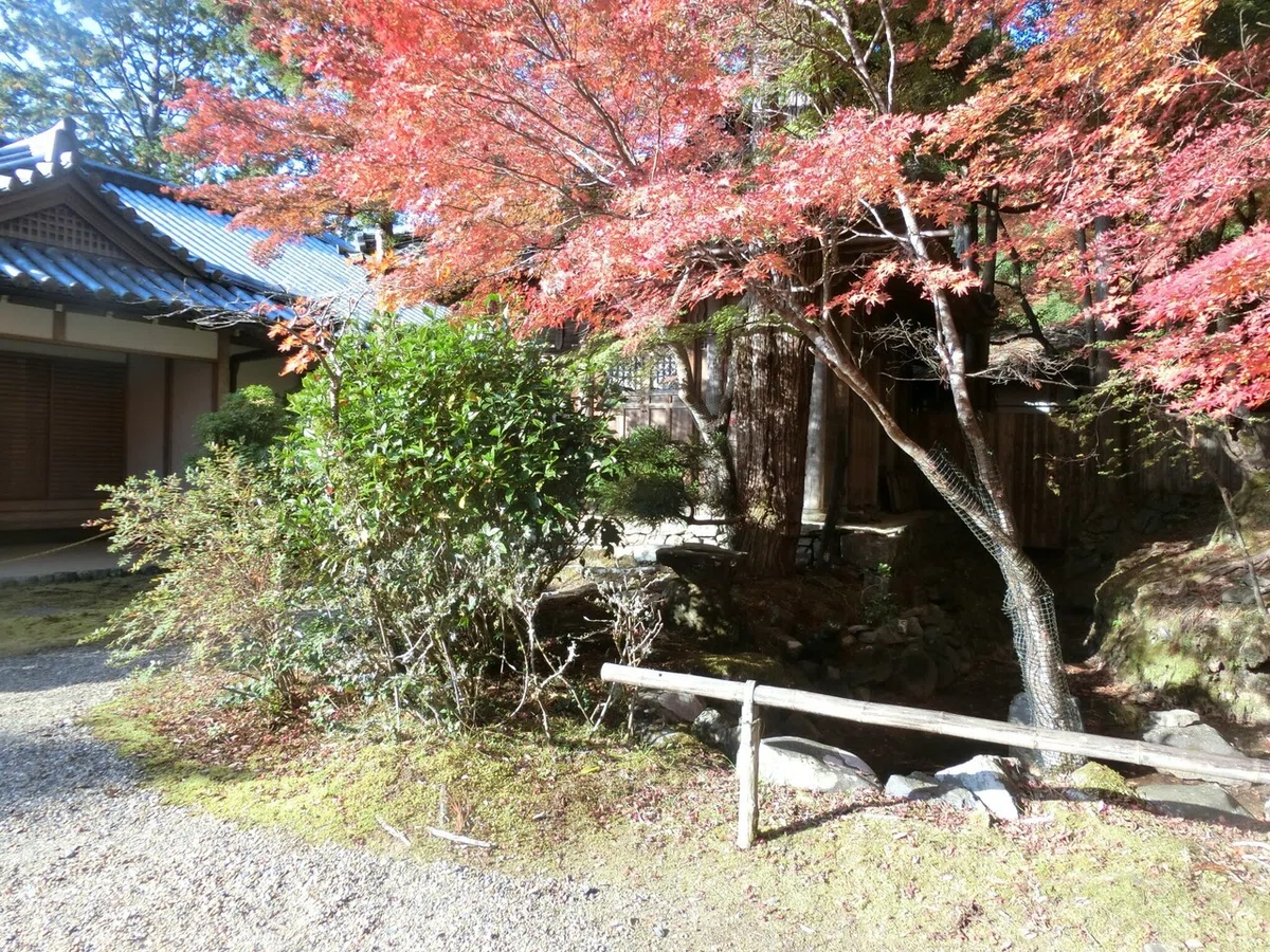 画像32