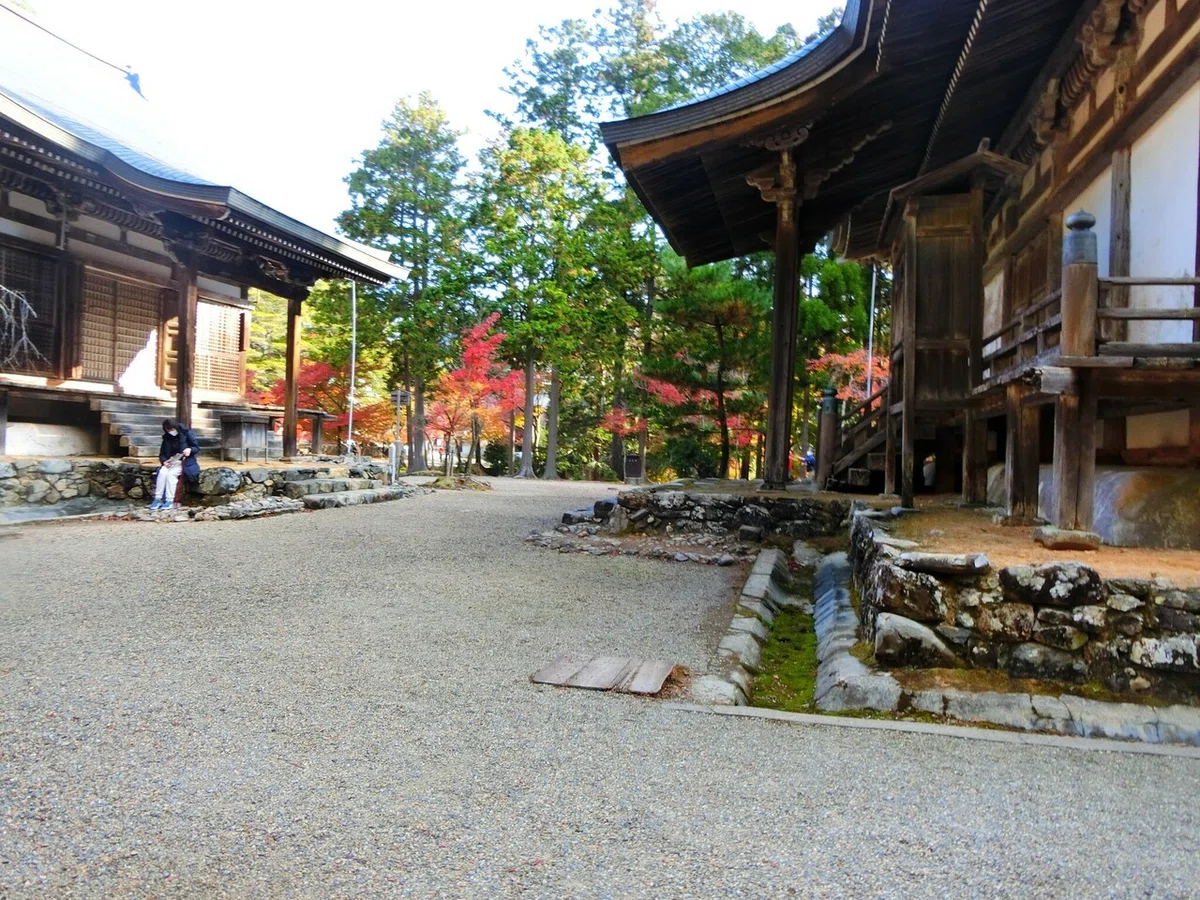 画像33