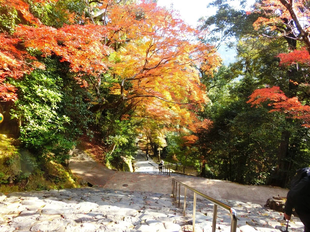 画像36